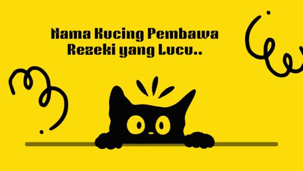 Nama Kucing Pembawa Rezeki yang Lucu