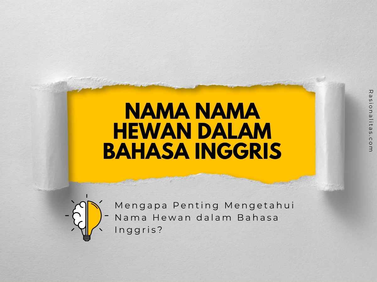 Nama Nama Hewan dalam Bahasa Inggris